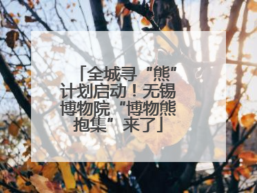 全城寻“熊”计划启动！无锡博物院“博物熊抱集”来了