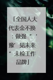 全国人大代表金不换：做强“‘豫’见未来”未检工作品牌
