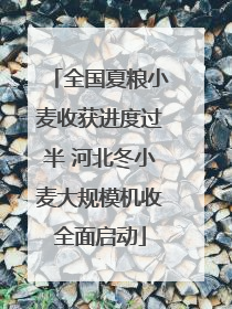 全国夏粮小麦收获进度过半 河北冬小麦大规模机收全面启动