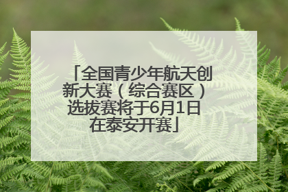 全国青少年航天创新大赛（综合赛区）选拔赛将于6月1日在泰安开赛
