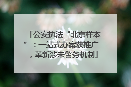 公安执法“北京样本”：一站式办案获推广，革新涉未警务机制