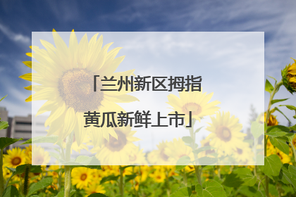 兰州新区拇指黄瓜新鲜上市