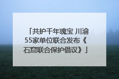 共护千年瑰宝 川渝55家单位联合发布《石窟联合保护倡议》