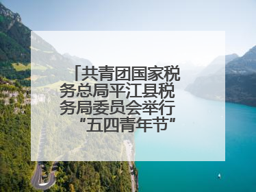 共青团国家税务总局平江县税务局委员会举行“五四青年节”主题团日活动