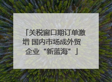 关税窗口期订单激增 国内市场成外贸企业“新蓝海”