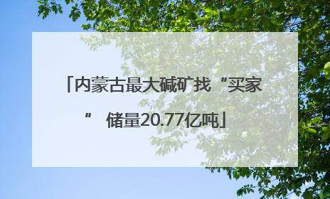 内蒙古最大碱矿找“买家” 储量20.77亿吨