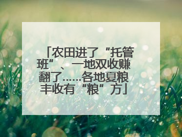 农田进了“托管班”、一地双收赚翻了……各地夏粮丰收有“粮”方