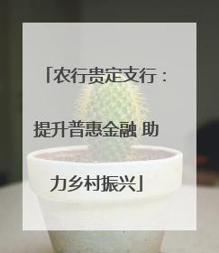 农行贵定支行：提升普惠金融 助力乡村振兴