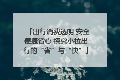 出行消费透明 安全便捷省心 探究小拉出行的“省”与“快”