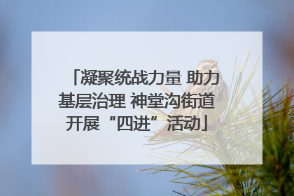 凝聚统战力量 助力基层治理 神堂沟街道开展“四进”活动