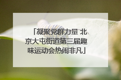 凝聚党群力量 北京大屯街道第三届趣味运动会热闹非凡