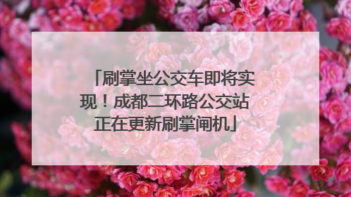 刷掌坐公交车即将实现！成都二环路公交站正在更新刷掌闸机