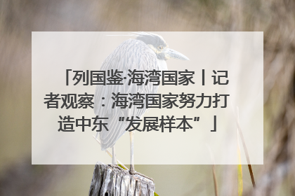列国鉴·海湾国家丨记者观察：海湾国家努力打造中东“发展样本”