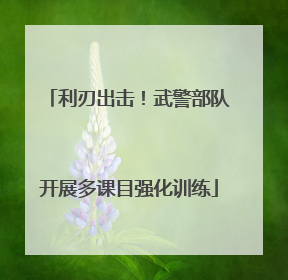 利刃出击！武警部队开展多课目强化训练
