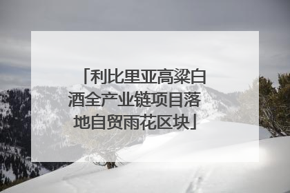 利比里亚高粱白酒全产业链项目落地自贸雨花区块