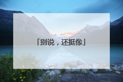 别说，还挺像