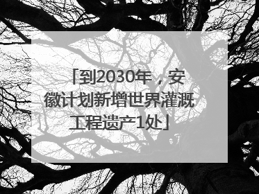 到2030年，安徽计划新增世界灌溉工程遗产1处