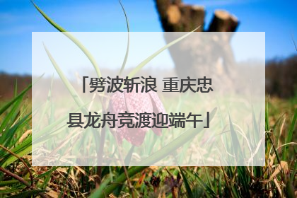 劈波斩浪 重庆忠县龙舟竞渡迎端午