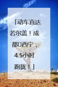 动车直达若尔盖！成都⇄西宁，4.5小时跑拢！