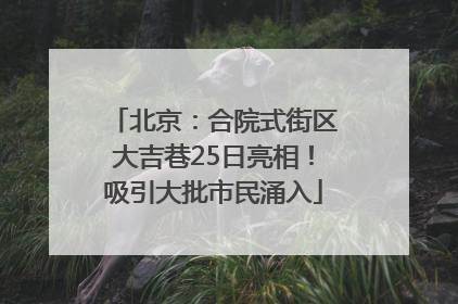 北京：合院式街区大吉巷25日亮相！吸引大批市民涌入