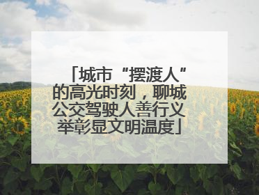 城市“摆渡人”的高光时刻，聊城公交驾驶人善行义举彰显文明温度