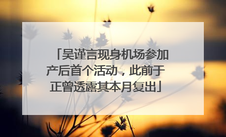 吴谨言现身机场参加产后首个活动，此前于正曾透露其本月复出