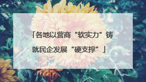 各地以营商“软实力”铸就民企发展“硬支撑”