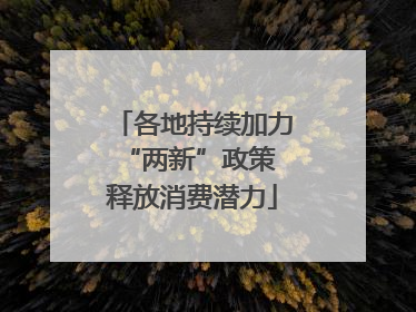 各地持续加力“两新”政策 释放消费潜力
