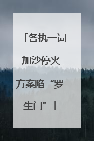 各执一词 加沙停火方案陷“罗生门”