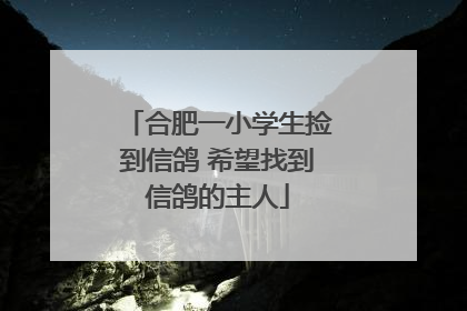 合肥一小学生捡到信鸽 希望找到信鸽的主人
