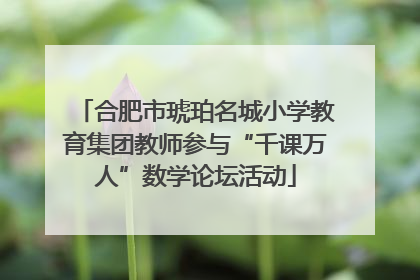合肥市琥珀名城小学教育集团教师参与“千课万人”数学论坛活动