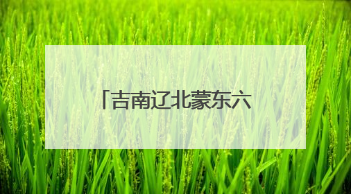 吉南辽北蒙东六市联合招聘 激活区域发展新动能