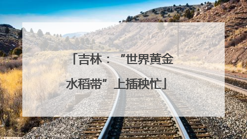 吉林：“世界黄金水稻带”上插秧忙