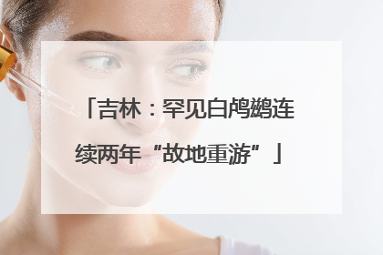 吉林：罕见白鸬鹚连续两年“故地重游”