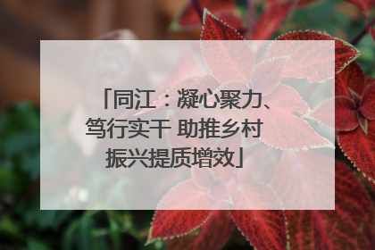 同江：凝心聚力、笃行实干 助推乡村振兴提质增效