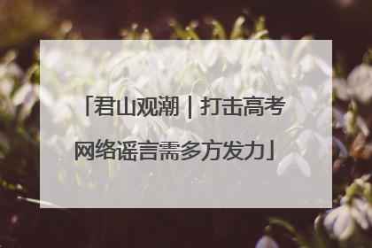 君山观潮｜打击高考网络谣言需多方发力
