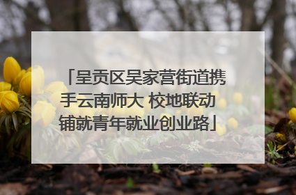 呈贡区吴家营街道携手云南师大 校地联动铺就青年就业创业路
