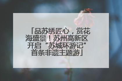 品苏绣匠心，赏花海盛景！苏州高新区开启“苏城环游记”首条非遗主题游