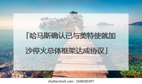 哈马斯确认已与美特使就加沙停火总体框架达成协议