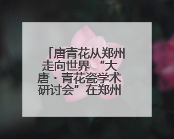 唐青花从郑州走向世界 “大唐・青花瓷学术研讨会”在郑州圆满举行