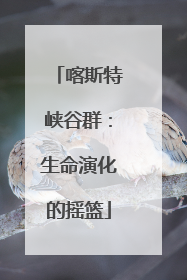 喀斯特峡谷群：生命演化的摇篮