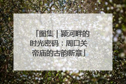 图集｜颍河畔的时光密码：周口关帝庙的古韵新章