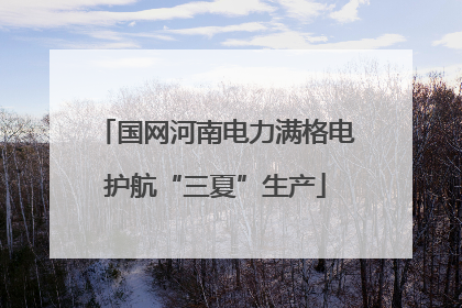 国网河南电力满格电护航“三夏”生产