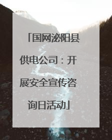 国网泌阳县供电公司：开展安全宣传咨询日活动