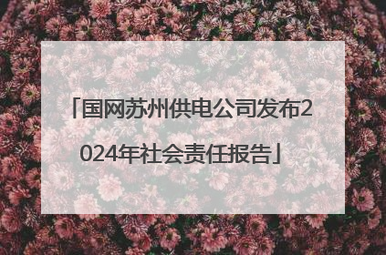 国网苏州供电公司发布2024年社会责任报告
