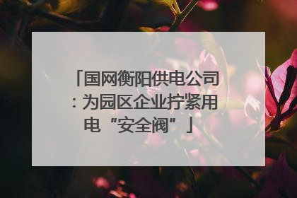 国网衡阳供电公司：为园区企业拧紧用电“安全阀”