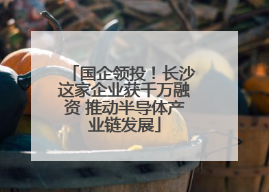 国企领投！长沙这家企业获千万融资 推动半导体产业链发展