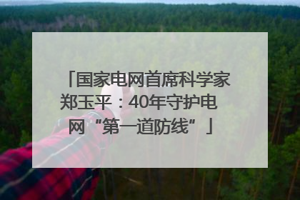 国家电网首席科学家郑玉平：40年守护电网“第一道防线”
