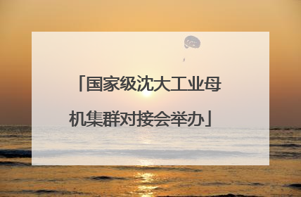 国家级沈大工业母机集群对接会举办