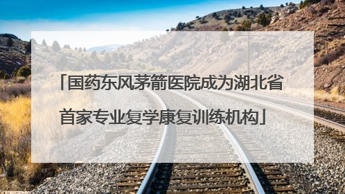 国药东风茅箭医院成为湖北省首家专业复学康复训练机构